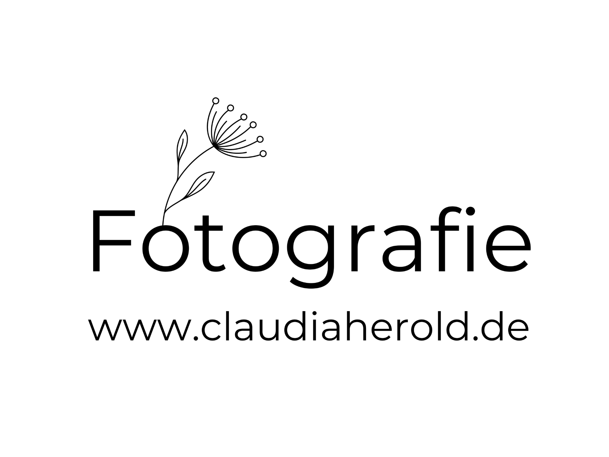 Claudia Herold Fotografie